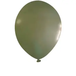 Standard Latex Helium Balloon Eucalyptus New
